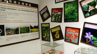 三牛文化攜手桂林植物園科普展廳，展大師特裝工廠鑄就專業展覽新典范
